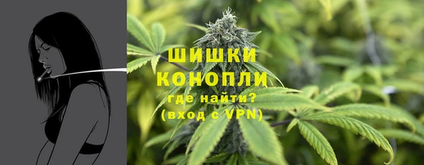 PSILOCYBIN Белокуриха