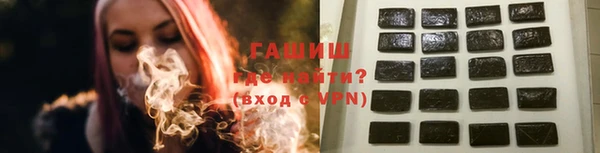 PSILOCYBIN Белокуриха