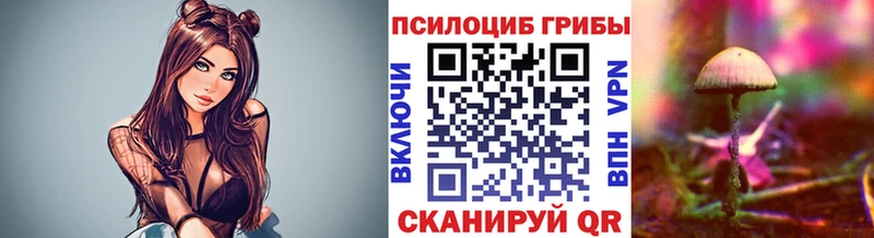 MEGA ссылки  Нерчинск  Галлюциногенные грибы Psilocybe 